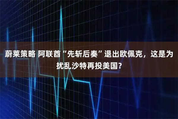 蔚莱策略 阿联酋“先斩后奏”退出欧佩克,这是为扰乱沙特再投美国?